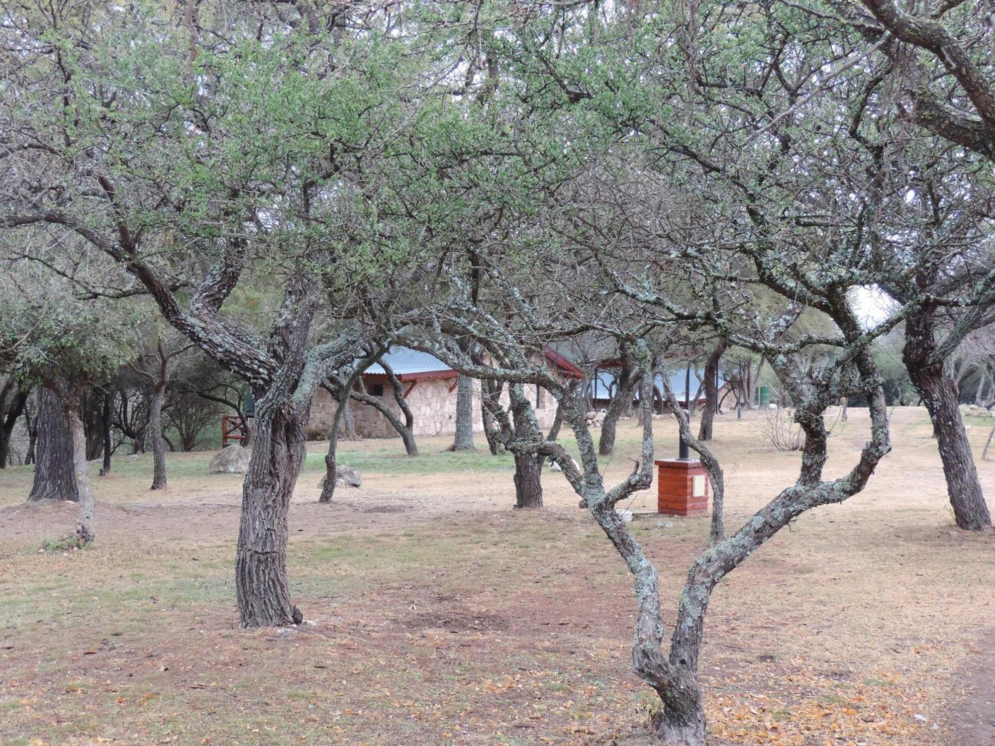 Cabanas Kamuy - Cabanas Y Suites Nono Buitenkant foto